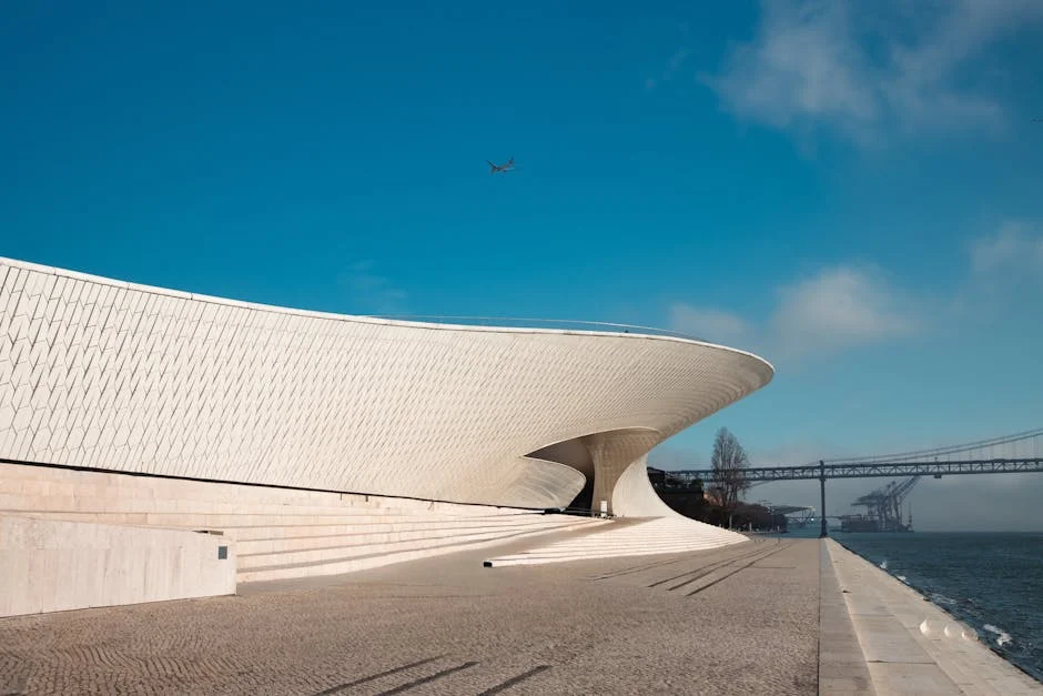 Rita Rato Steps Down as Museum Director - What Does It Mean for Cultural Development? — Economy Business