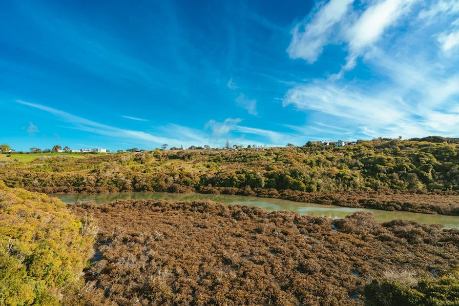 Schaper Dominates Weather-Worn Joburg Open: What This Means for African Golf — Economy Business