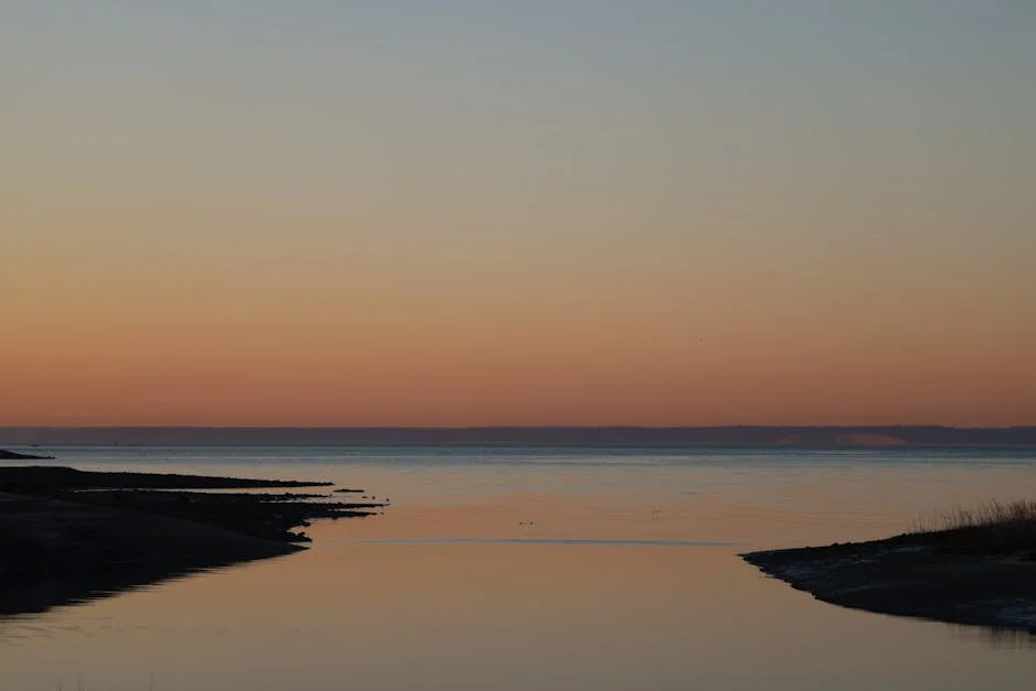 Seguro appoints Maia Pereira as Casa Militar chief: what it means for Nigeria — Economy Business