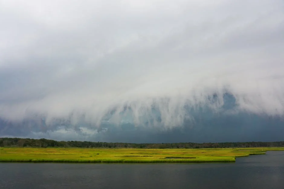 Senate Chief Whip storms out of plenary