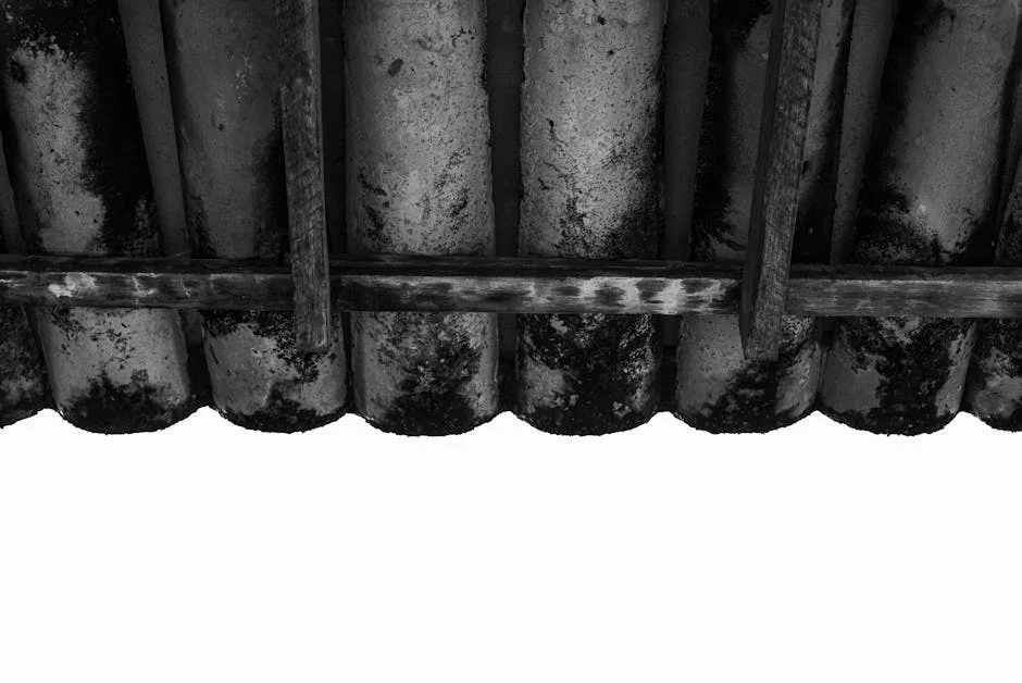 Senate Debunks Alleged Padding of Supplementary Budget