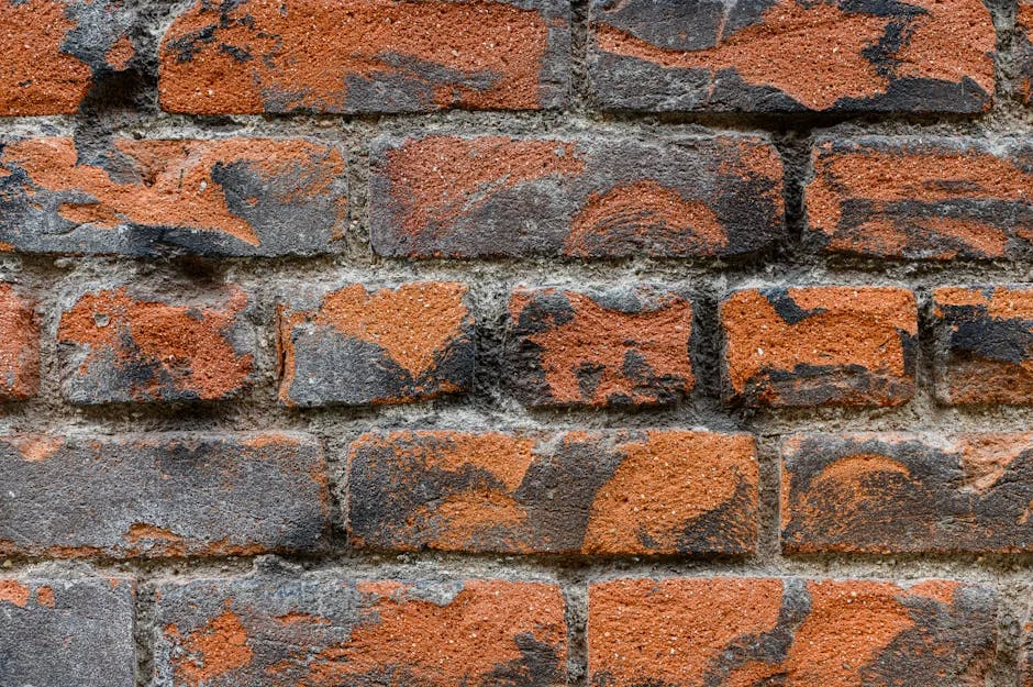 Senate Screened Matawalle for Tinubu's Ministerial Appointment