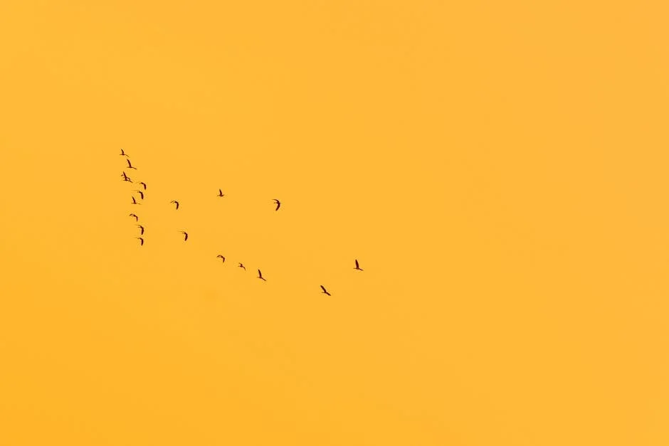 Soares Exposes Impatience in Nigerian Development — What It Means for Progress — Economy Business