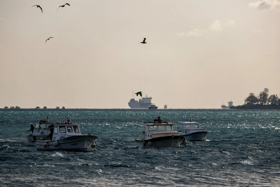 Somali Pirates Target Ships — Nigeria’s Ports Face Immediate Shock — Environment Nature