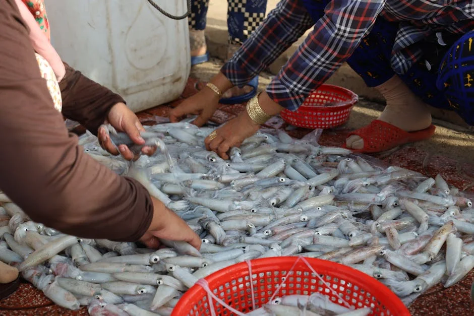 Source Reveals Top 10 Mutual Funds for SIP Investment — What Nigerians Need to Know — Economy Business