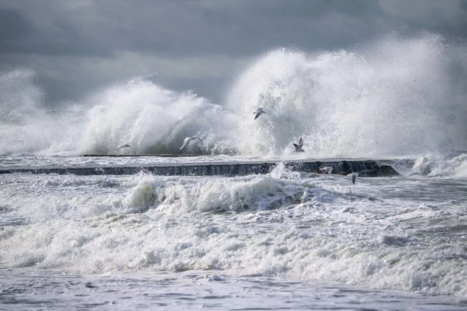 South Africa Braces for Severe Storm — Snow, Lightning and Heavy Rain Converge Thursday — Infrastructure Cities
