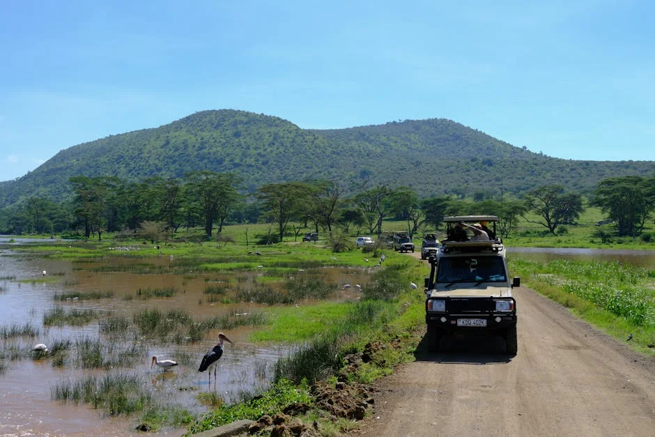 South Africa Forces New Vehicle Border Checks – Nigerians Brace for Delays — Politics Governance