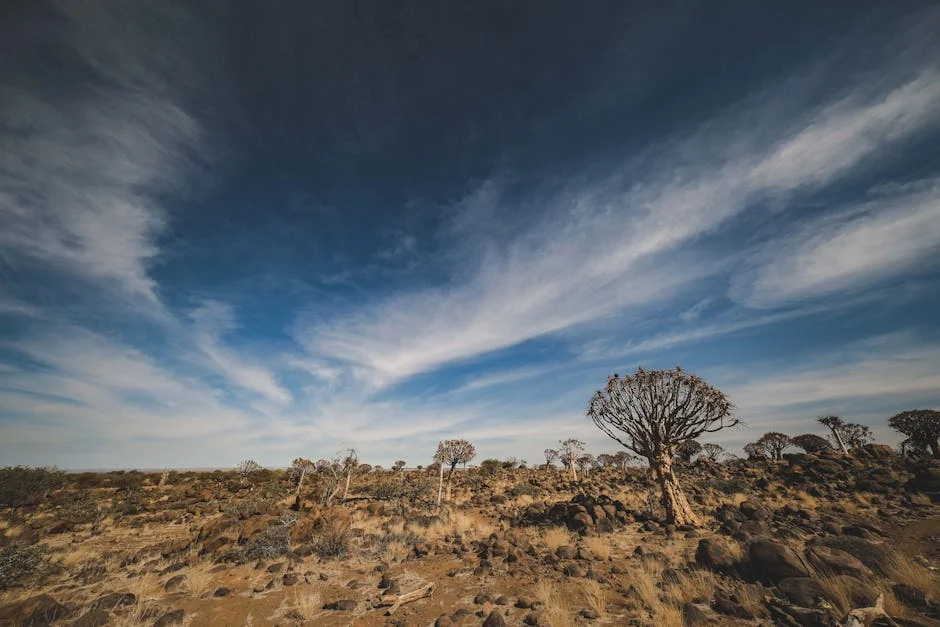 South Africa Launches Bold Land Reform Budget — What It Means for Rural Communities — Politics Governance