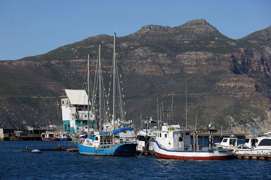 South Africa Launches Responsible Offshore Development Plan — What It Means for Communities — Environment Nature