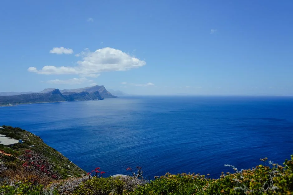 South Africa Meets Climate Goals — What This Means for Local Communities — Environment Nature