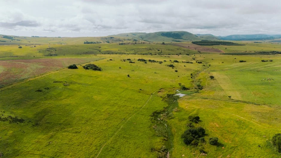 South Africa Reveals Five Farm Stay Escapes: Transforming Urban Life to Rural Bliss — Economy Business