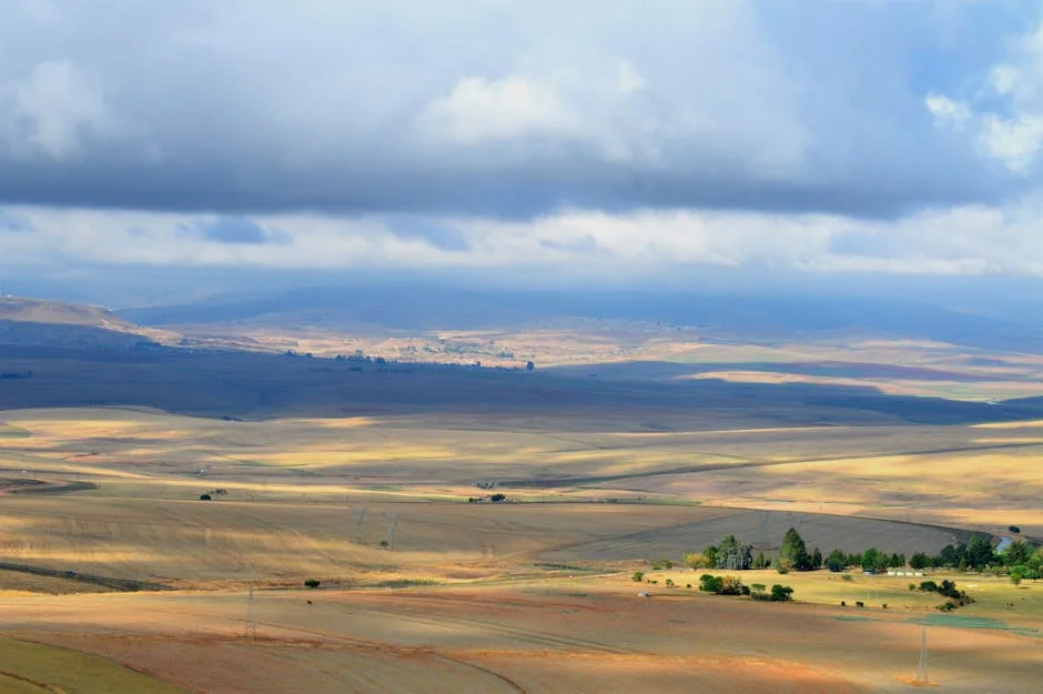 South African Weather Service Warns of Flood Risks in 5 Provinces — Economy Business