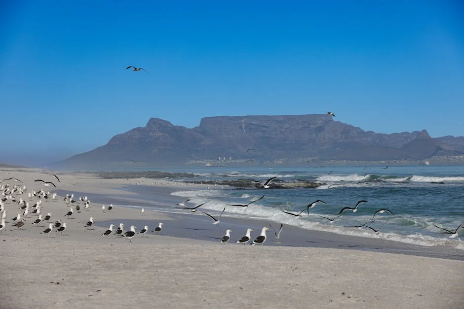 South Africa's Boards Ignore ESG Shift — Citizens Face Economic Fallout — Economy Business