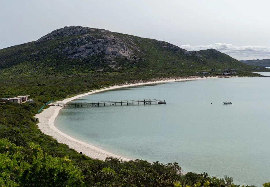 South Africa's Exclusive Estate Earns Global Recognition, Boosting Local Economy — Health Medicine