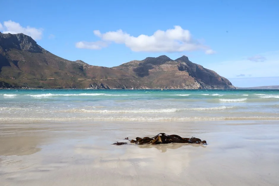 South Africa's National Water Amendment Bill Triggers Community Unrest Over Resources — Technology Innovation