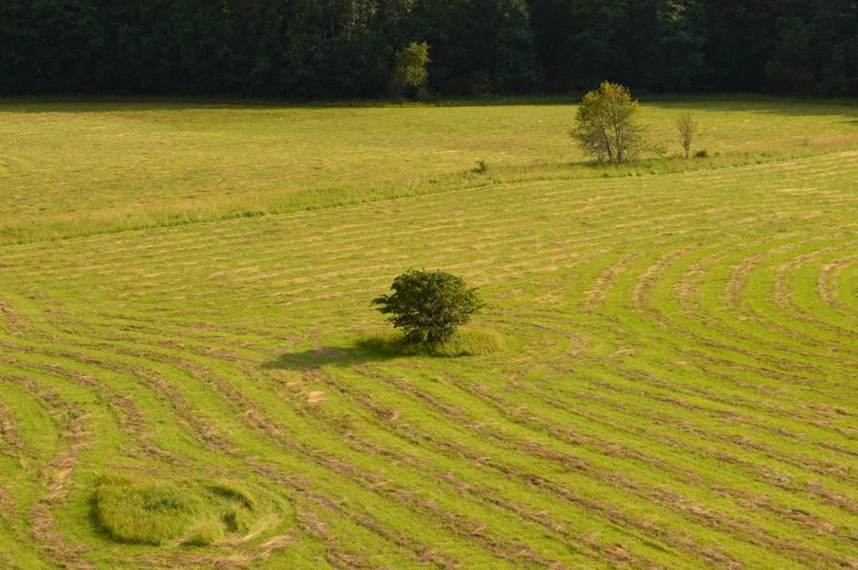 South Sudan Army to Prosecute Soldiers for Civilian Massacre: What It Means for Jonglei — Politics Governance