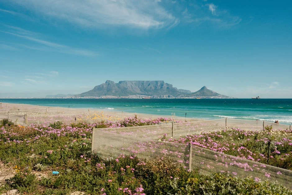 S&P Affirms South Africa’s Ratings as Fiscal Reforms Boost Economic Stability