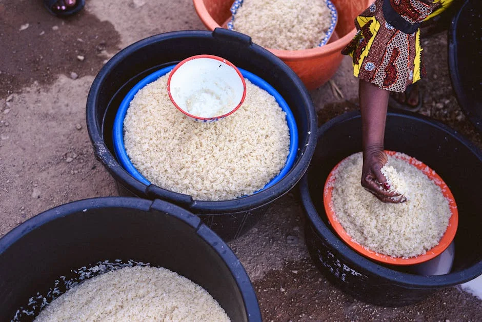 Spoilsport Hits Nigerian Economy — Chemical Imports Under Scrutiny — Economy Business