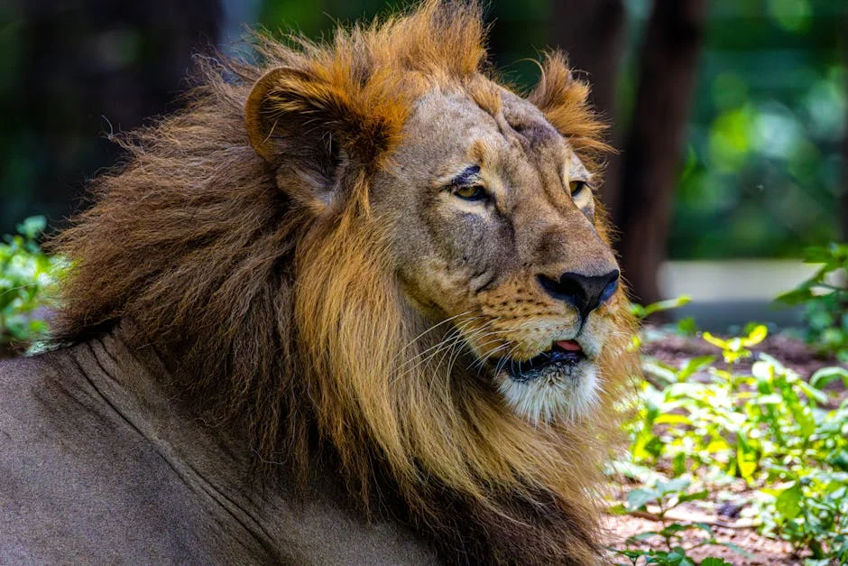 Supreme Court Upholds Telangana Film Ticket Price Hike Rules