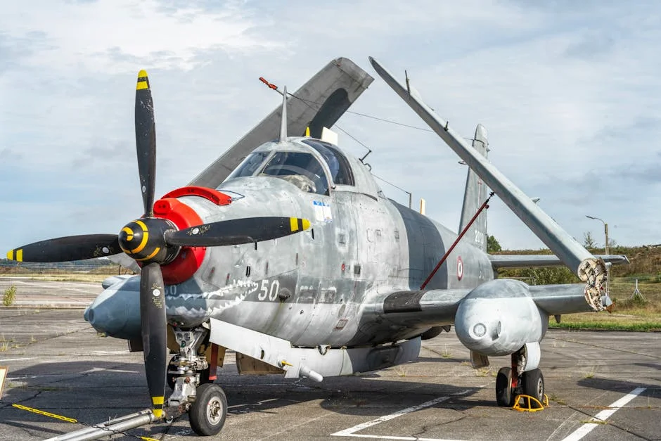 Sweden Jammed Russian Drone Near French Carrier - Hybrid War Fears Loom — Politics Governance