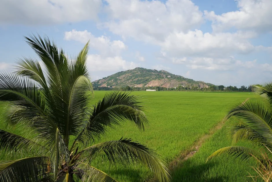 Tamil Nadu Halts Greenery Expansion in Tiruchuli Amid Development Push — Politics Governance