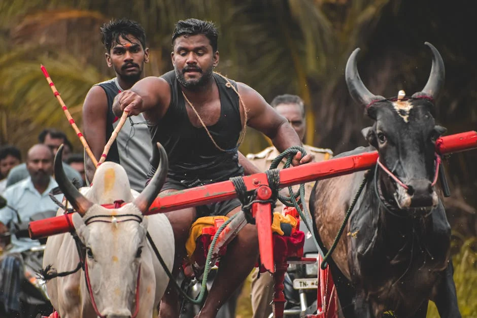 Tamil Nadu Voter Turnout Surpasses 56% by Midday — What's Driving the Numbers? — Politics Governance