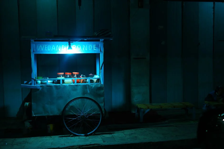 The Drug Market in Kano State