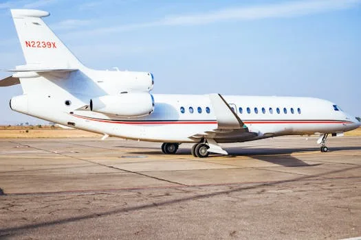 Tinubu, VIPs pay tribute as FCMB founder, Balogun, is buried  PUNCH NEWS