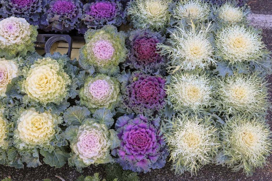 Tirelo Kale unveils stunning birthday photoshoot and jewellery collab — here's what it means for Nigeria — Economy Business