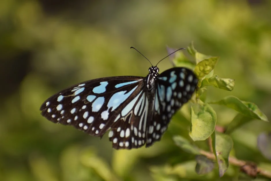 Tirumala Temple Authority Demands Legal Action Over Birthday Celebrations — What’s at Stake — Economy Business