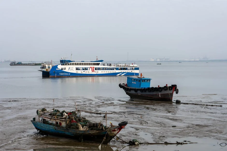 Tongaat Minister Parks Tau slams liquidation plans — the consequences for South Africa's economy — Politics Governance