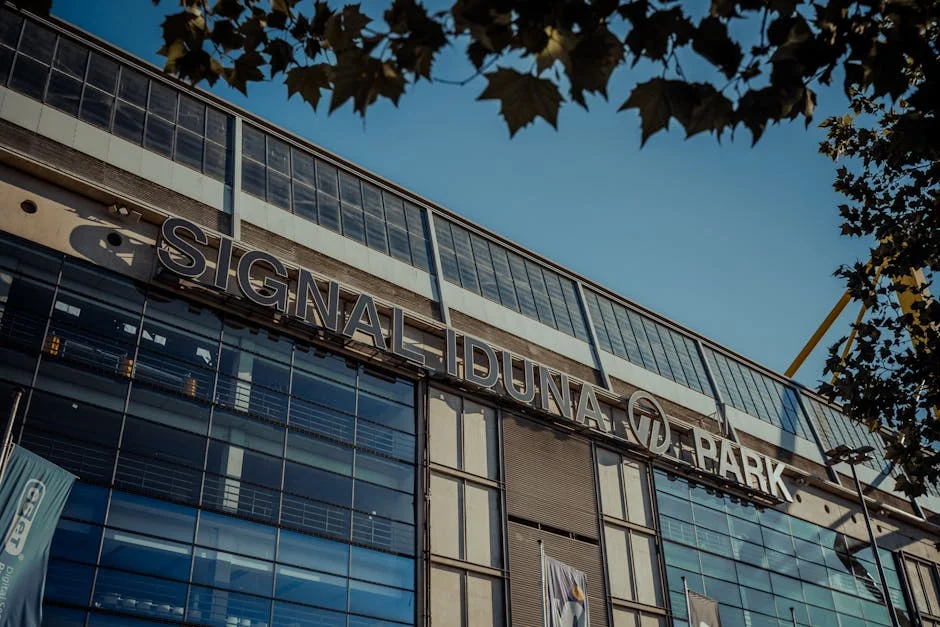 Tottenham vs Brighton Prediction Sparks Frenzy in Nigeria — Economy Business