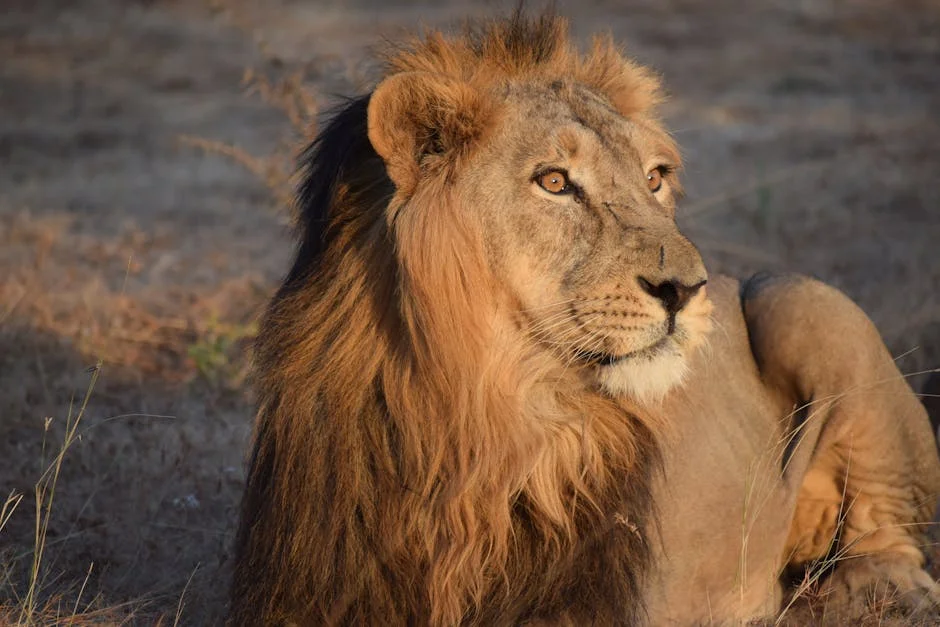 Tribute to Ghali Na’abba: Adieu The Lion by Auwalu Anwar