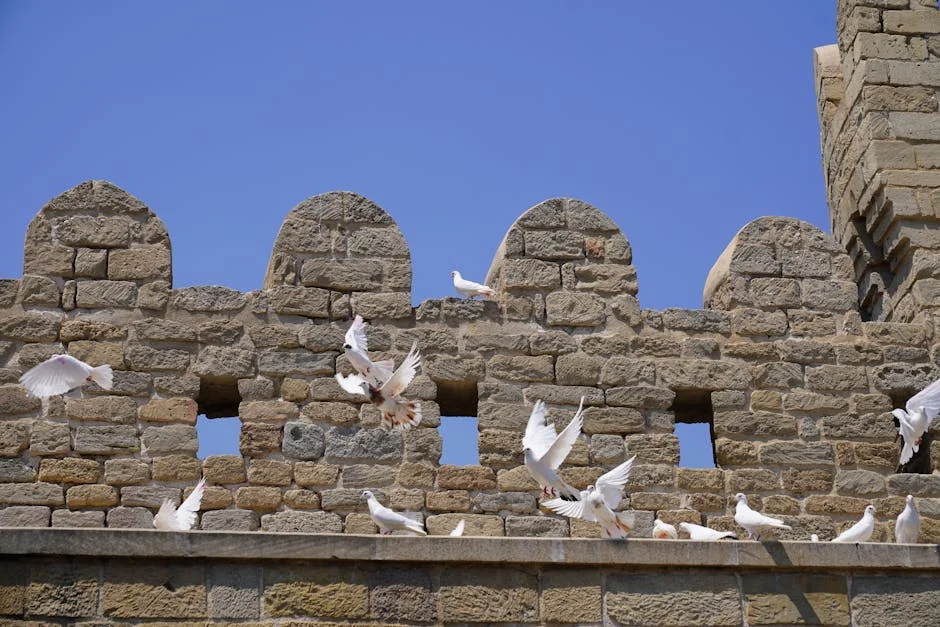 Trump Declares End to War Against Iran 'Very Soon' As Tehran Vows Unyielding Resistance — Politics Governance