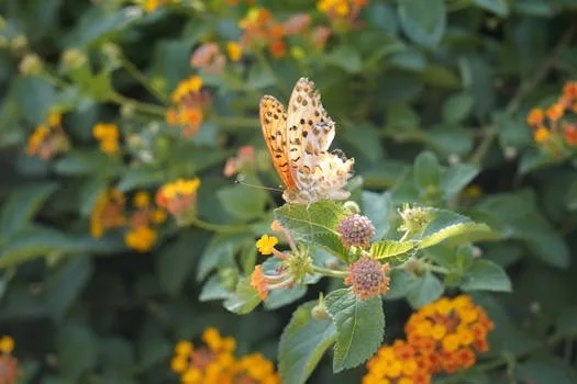 Veteran Nollywood Actress Cynthia Okereke Is Dead, a Year after Kidnapping Saga