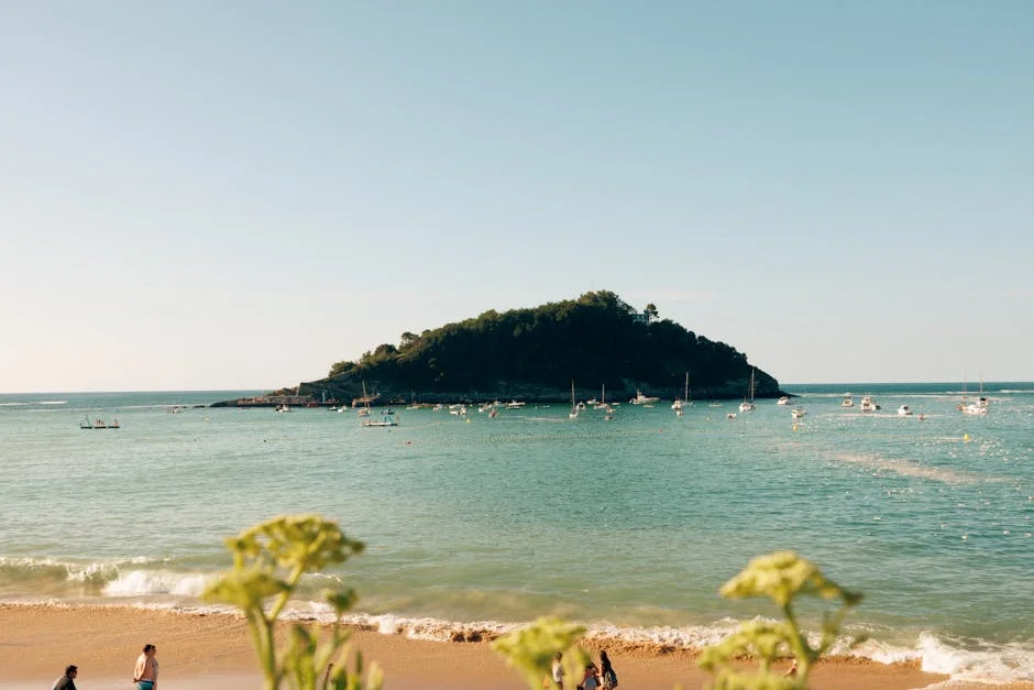 Vinicius Suspended for One Match: What It Means for Tondela and African Football — Economy Business