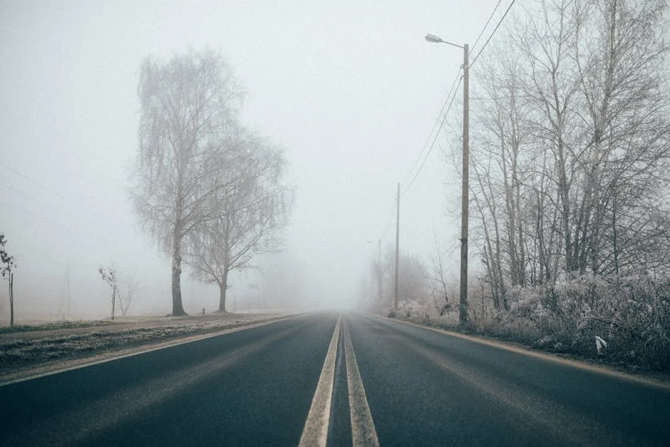 Weather Warning: Foggy Conditions Disrupt Morning Commute in Natal and Mpumalanga — Agriculture Food