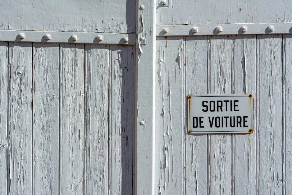 Whitney Cummings Sparks Debate Over Nigeria's Economic Policies — Critics Warn of Rising Inequality — Economy Business