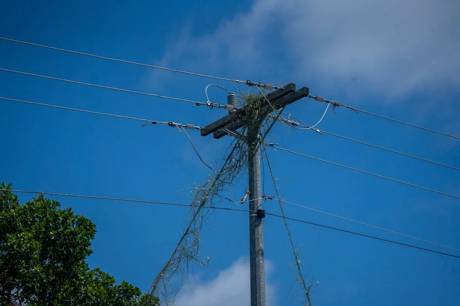 Why Electricity Supply Dropped Nationwide – Power Minister Adelabu Explains