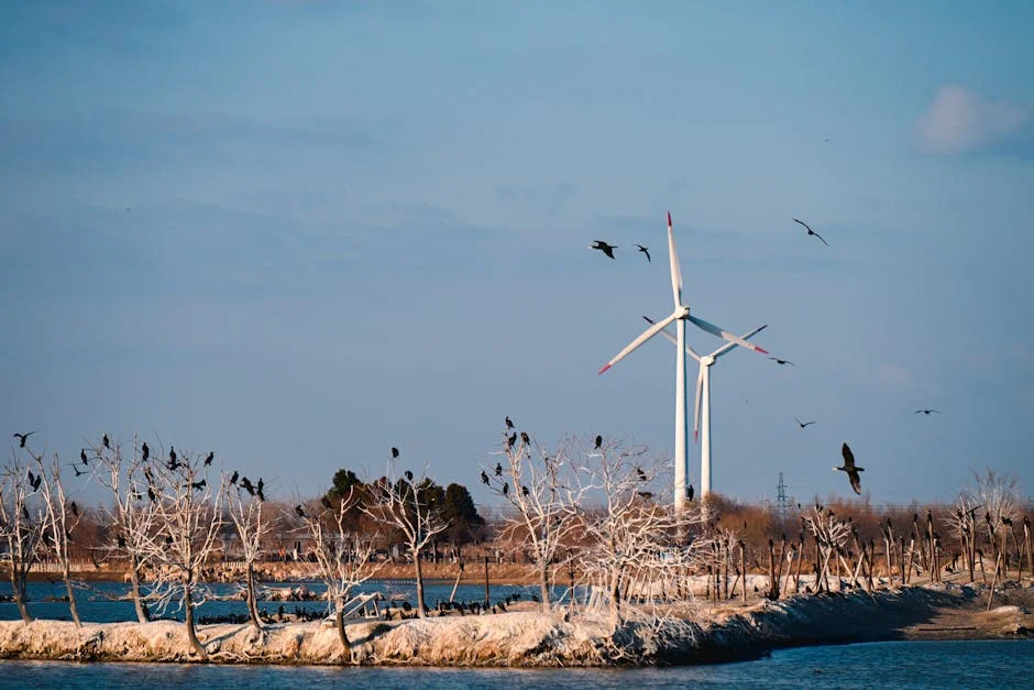 Wild Brawl Erupts at Women's Football Match - Punches, Shoves, and Hair Pulling — Economy Business
