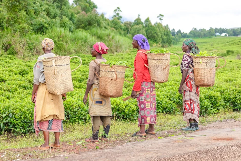 World Bank Empowers Women in Sierra Leone: Transforming Creativity into Jobs — Economy Business