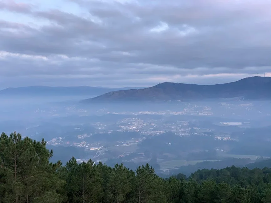 Comprehensive Coverage of Local Issues — Advertorial