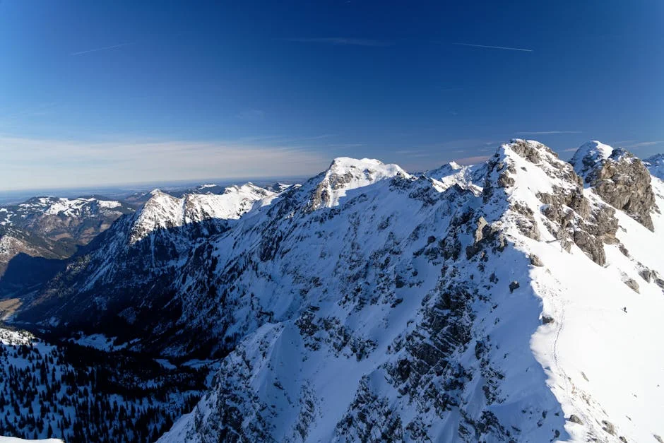 Zuckerberg: Musk 'Not Serious' About Cage Fight, 'Time to Move On'